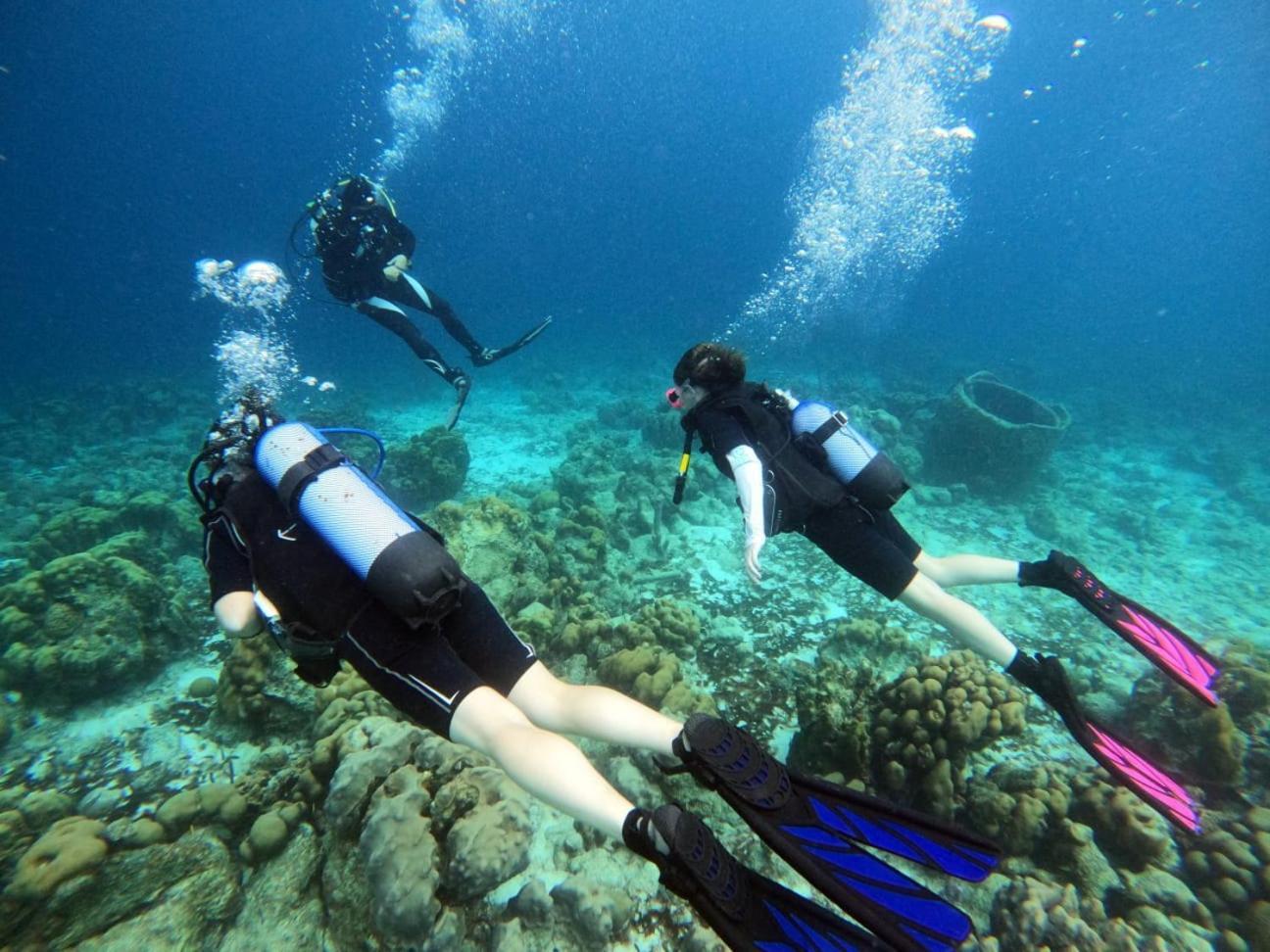Tropical Divers Resort Kralendijk  Luaran gambar